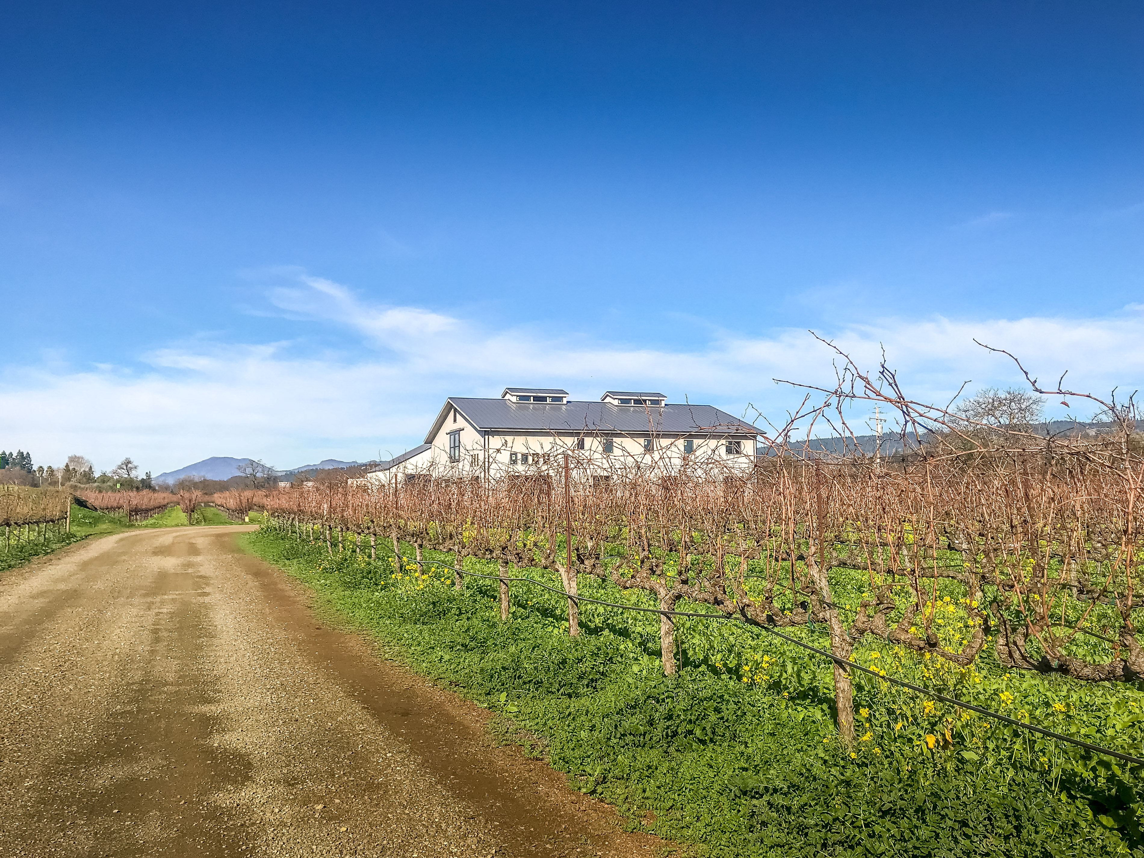 A Weekend in Wine Country Getaway Guide to Napa Valley