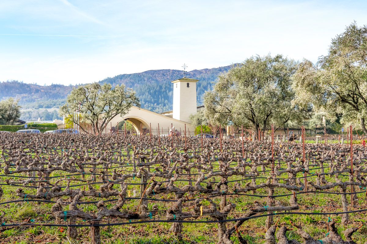 A Weekend in Wine Country Getaway Guide to Napa Valley