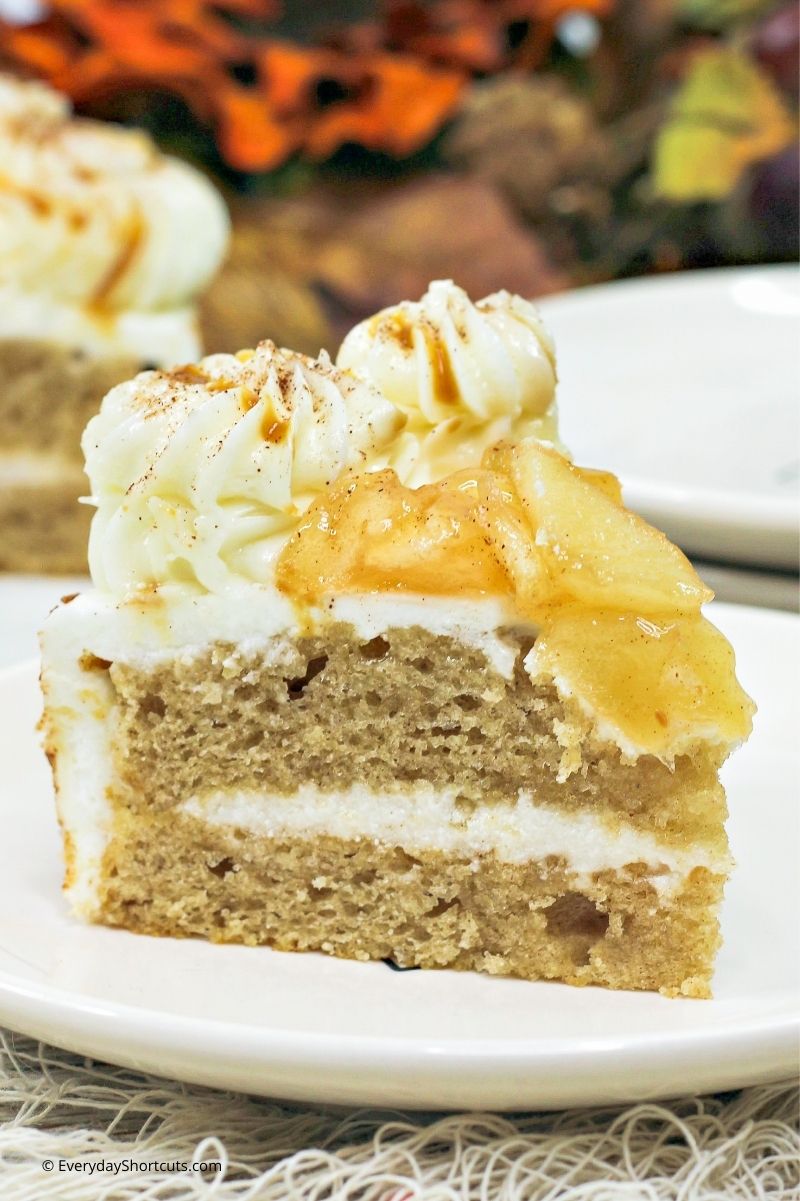 Instant Pot Apple Spice Cake