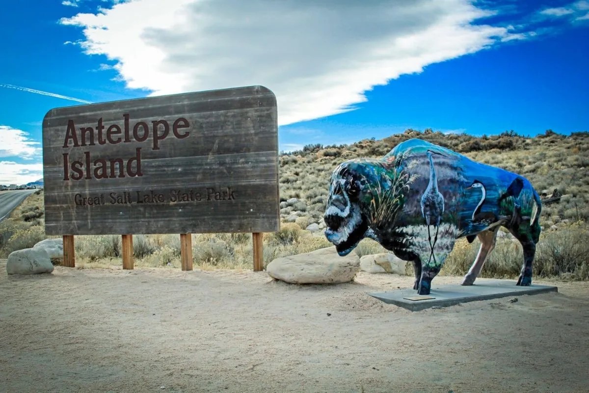 Does Antelope Island Allow Dogs