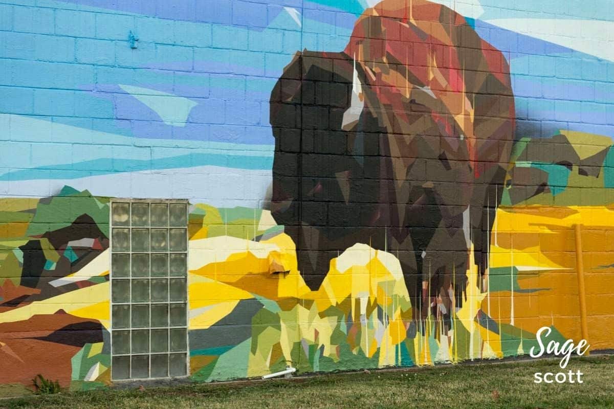 30 Impressive Tulsa Murals That Tell TTown's Story Everyday Wanderer