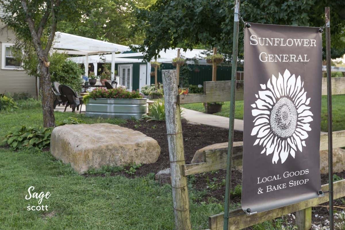 Grinter Farms An Iconic Kansas Sunflower Field Experience
