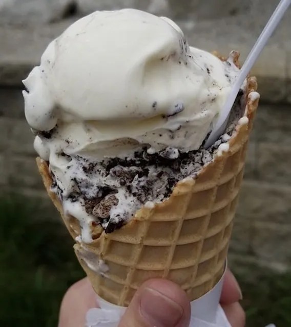 Kopps Menu With Prices [May 2024 Updated]