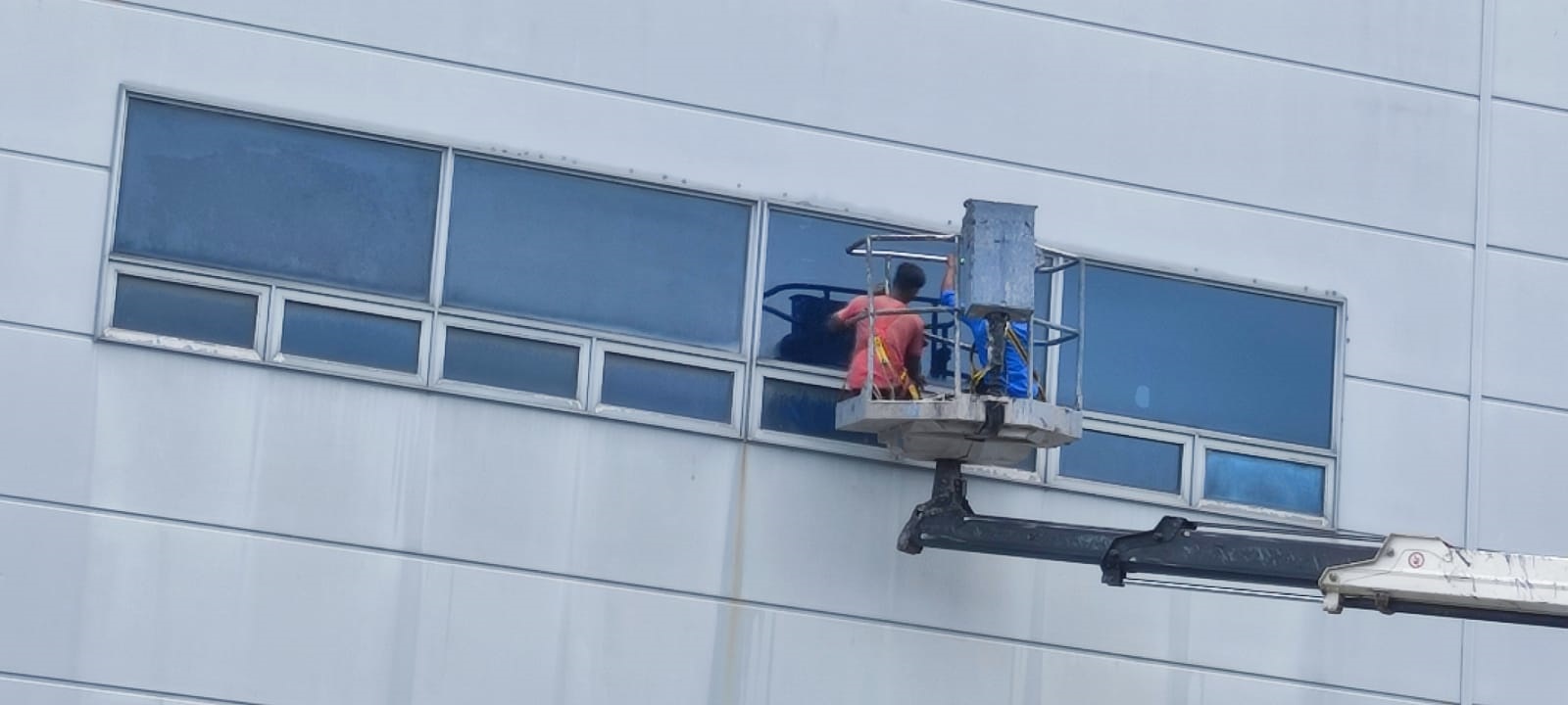 Ever yours pest control pvt ltd Pest control services in Chennai gallery