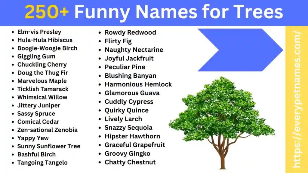 250+ Funny Names for Trees Every Pet Names