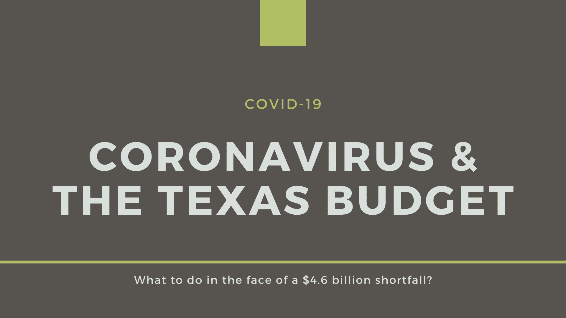 COVID19 & Our State Budget Every Texan