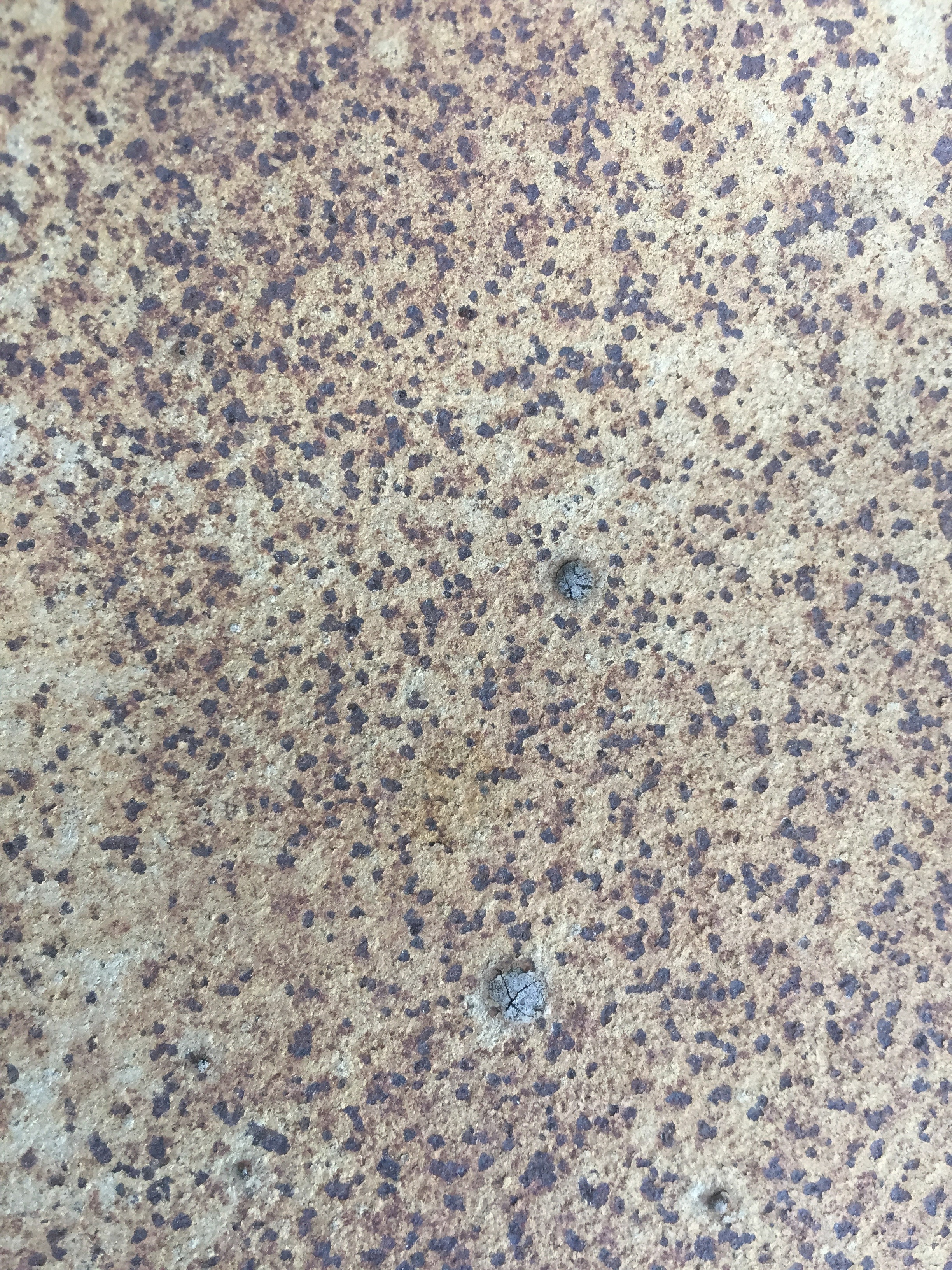 Brown spots on white bumpy corrosion base Free Textures