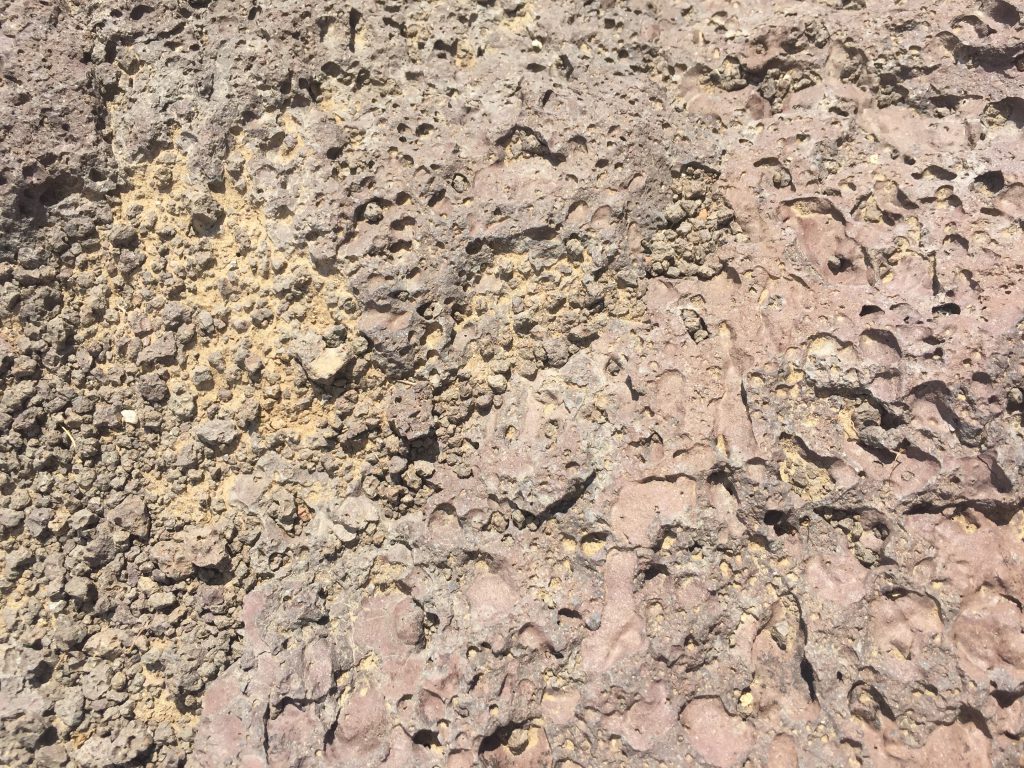 Light brown lava rock texture Free Textures