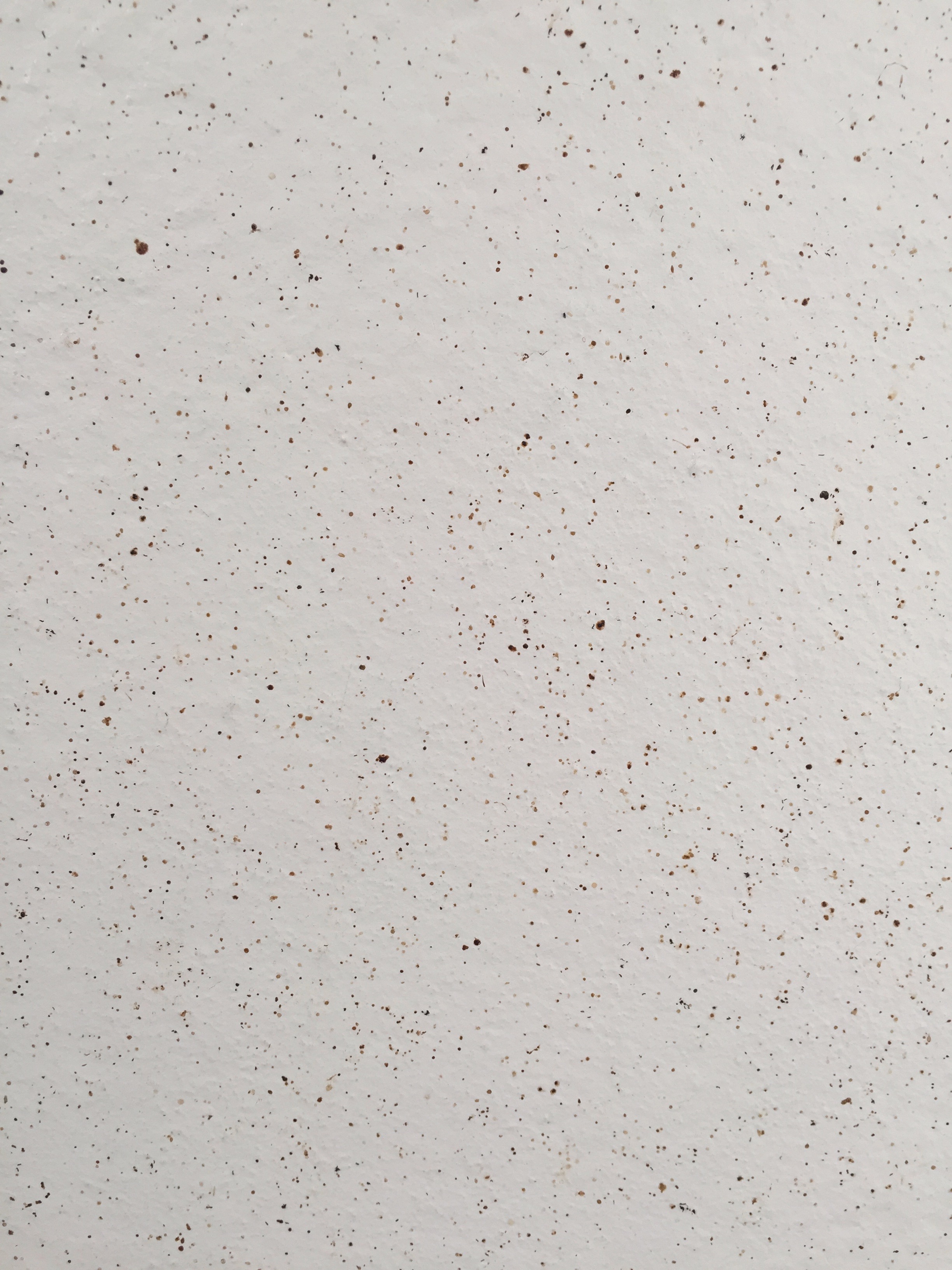 Off white concrete wall Free Textures