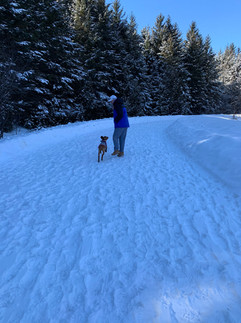 Duffins Creek Conservation