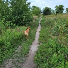 Harmony Dog Park