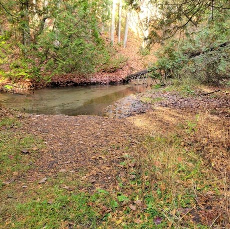 Orono Crown Lands