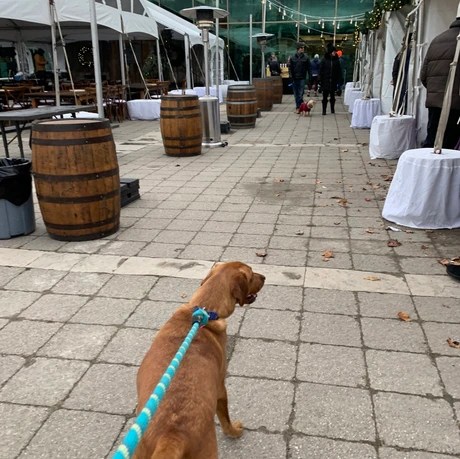 Whitby's Winter Wonderland