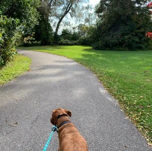 Darlington Provincial Park