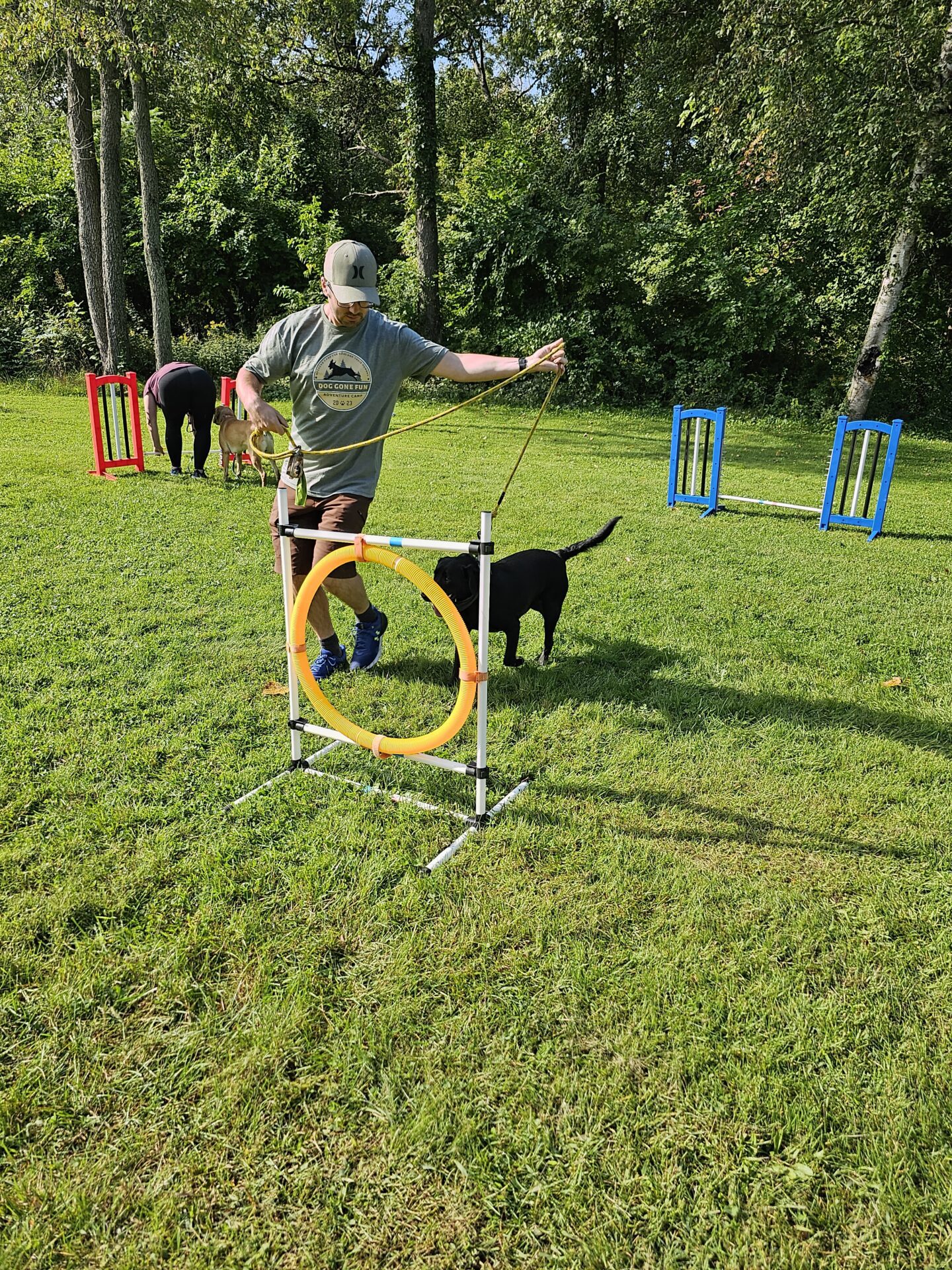 Dog Gone Fun Adventure Camp - Agility