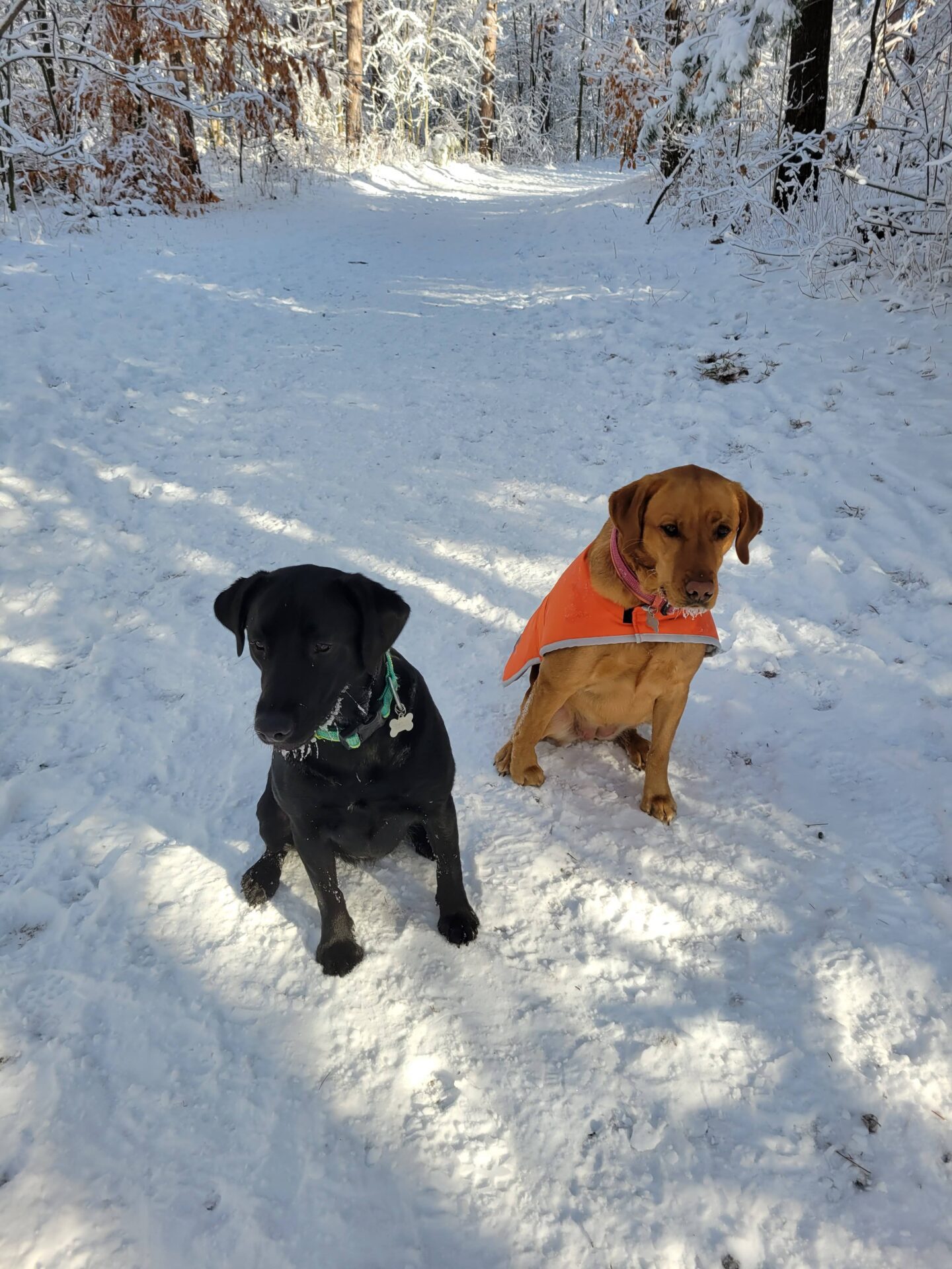Maze & Nyx at Bendor & Graves Tract