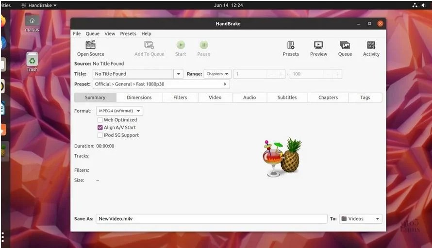 Handbrake video converter how to use ubuntu likosflower