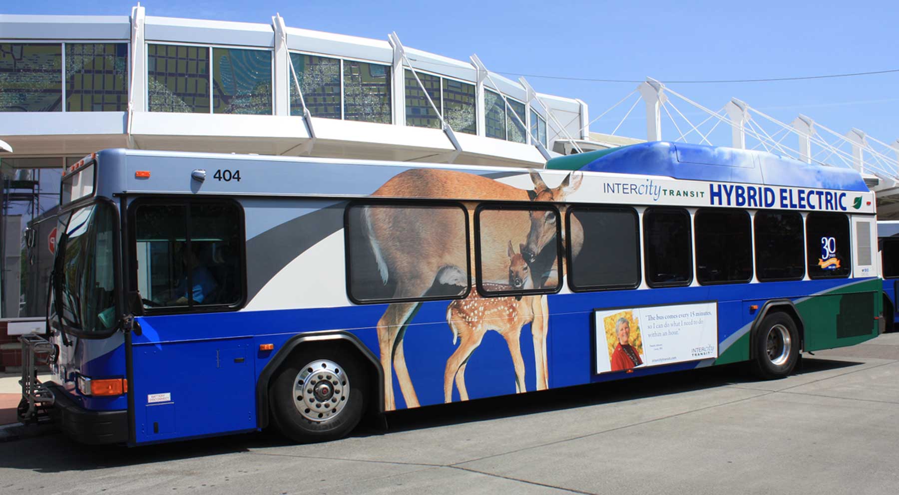 Intercity Transit Issues Marketing Rfp - Everything Public Relations News