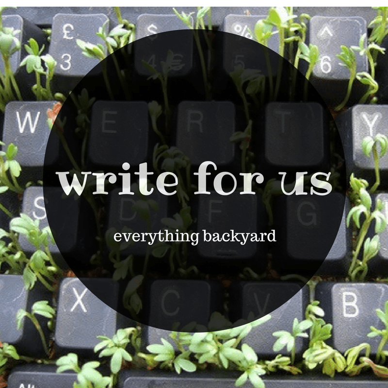 write for us! Everything Backyard