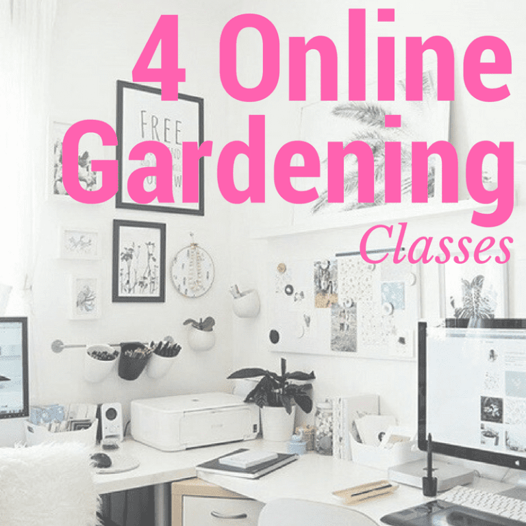 4 Online Gardening Classes Great for Perfecting Your Skills