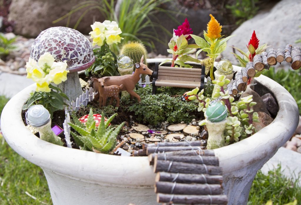 Ultimate Fairy Garden Guide What Are They and How to Make Your Own