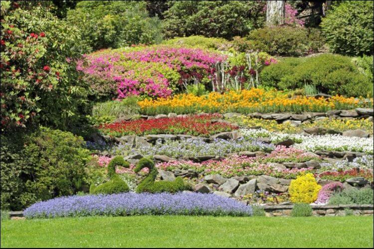 Inclined Landscaping 6 Ways to Start Planting on a Slope