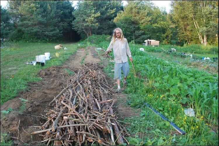 Mound Gardening or Hügelkultur What It Is and How to Do It Right