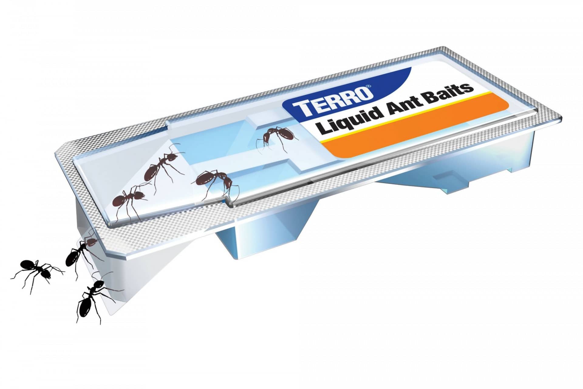 Everything You Need to Know About Ant Traps