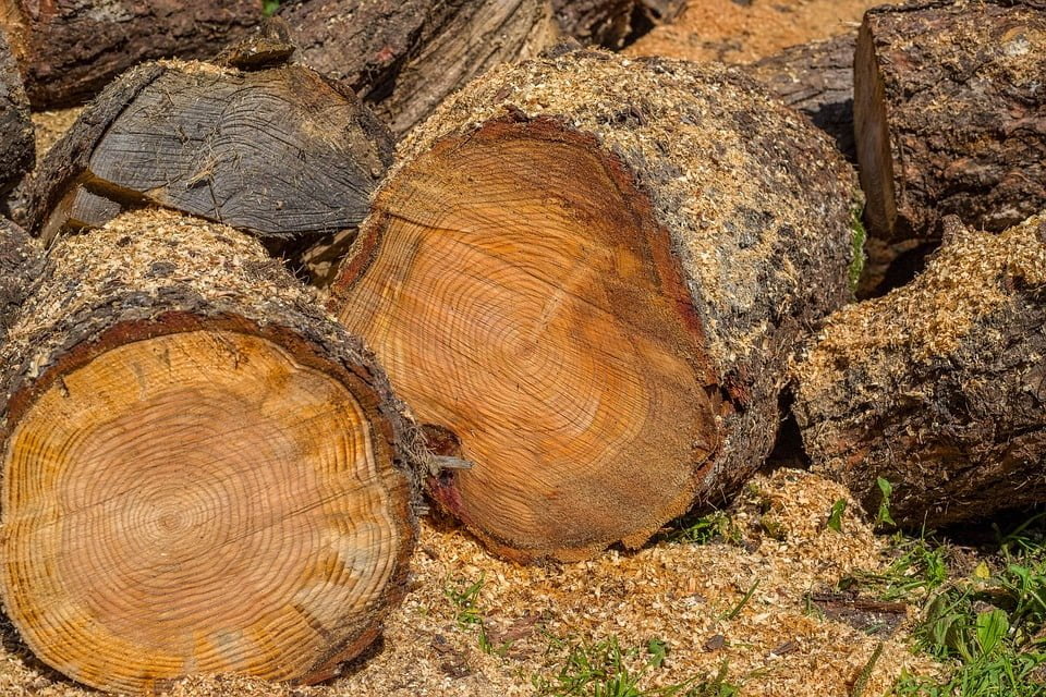 The Ins and Outs of Using Firewood to Heat Your Home