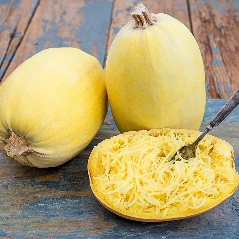 All the Scoop on Growing Spaghetti Squash
