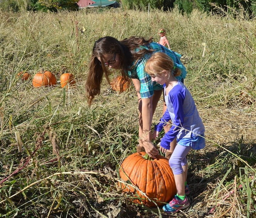 Why You Should Take Your Kids to a Pumpkin Patch for a Day Full of Fun