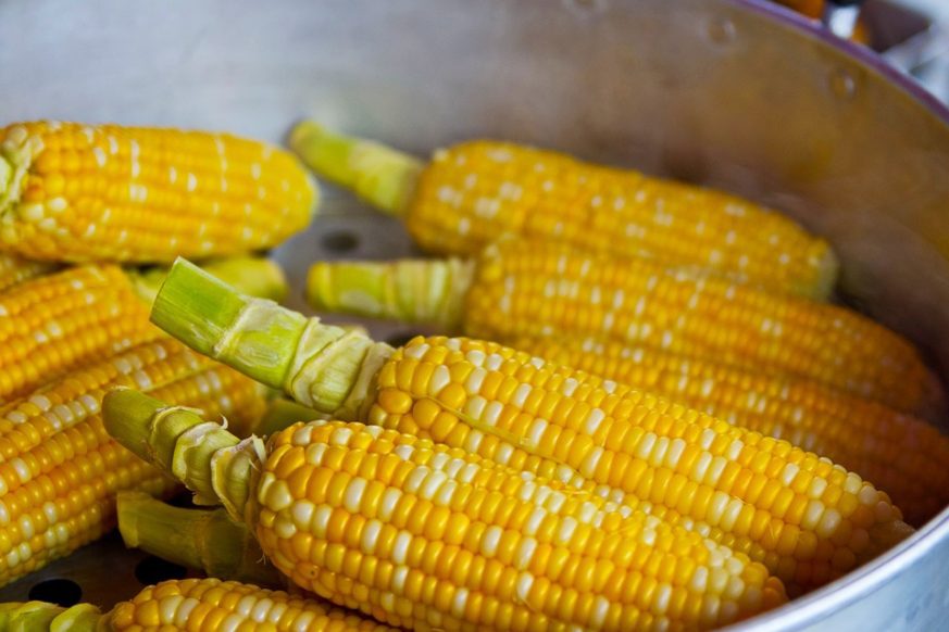 Easy Techniques for Shucking Corn