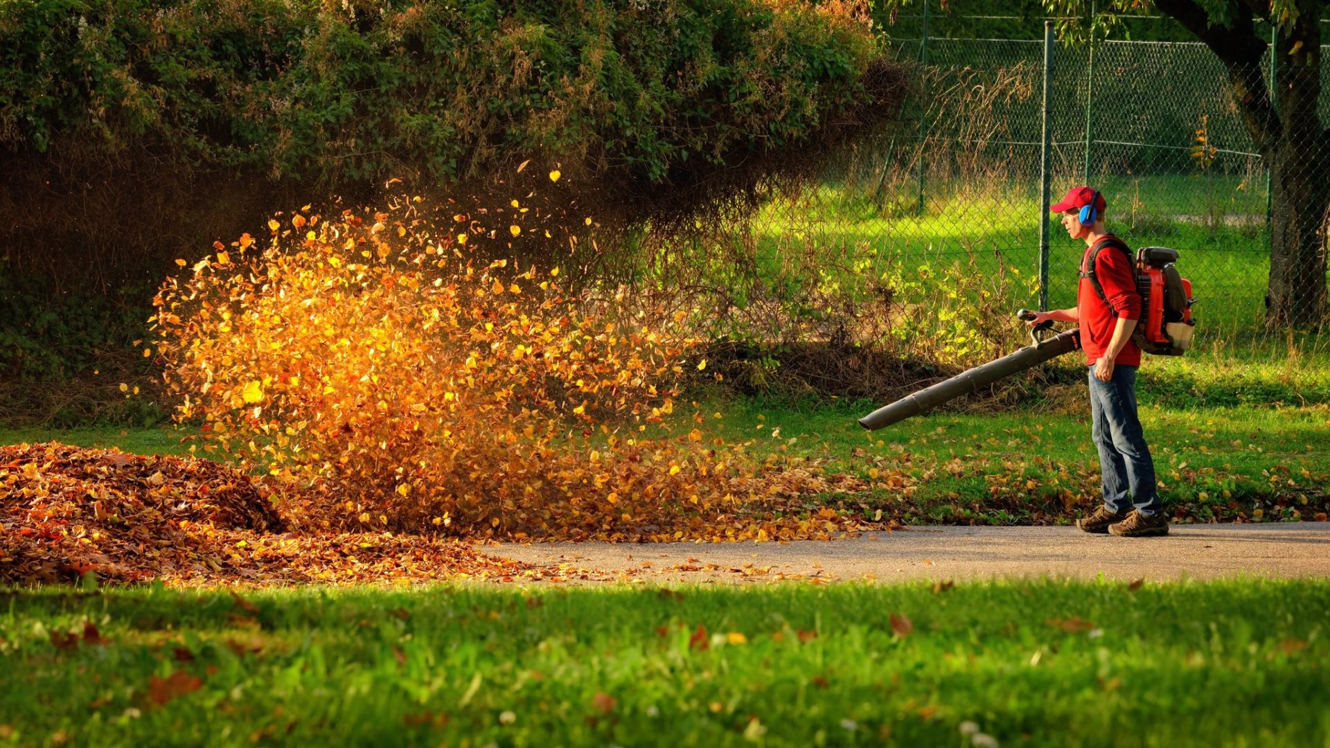 How Do Leaf Blowers Work Your Ultimate Guide