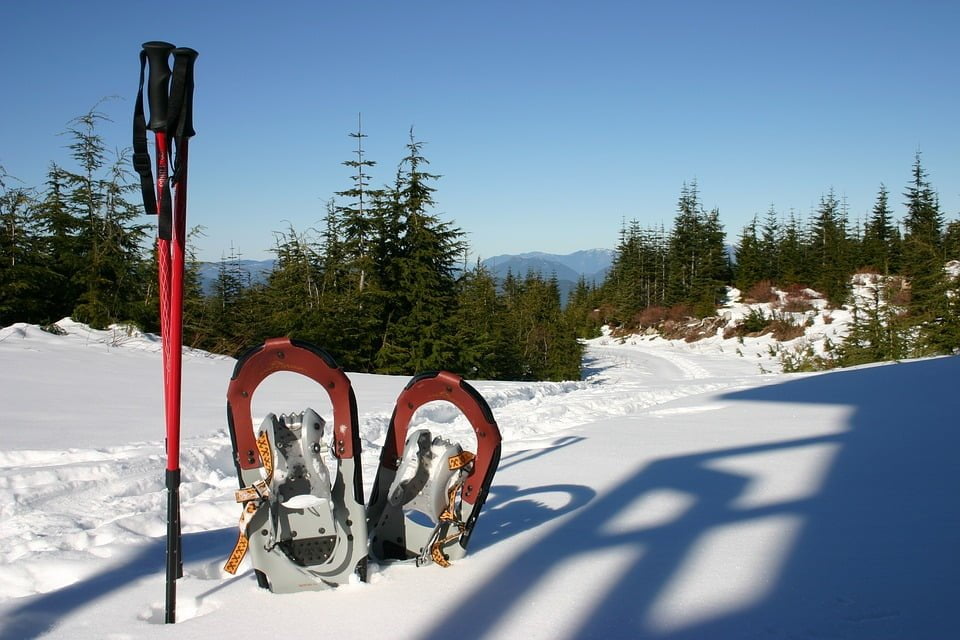What to Know About Snowshoeing This Winter