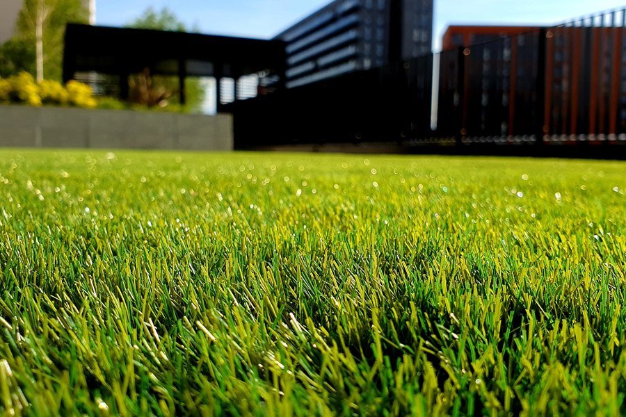 Timing Is Everything When Is the Best Time to Plant Grass Seed?