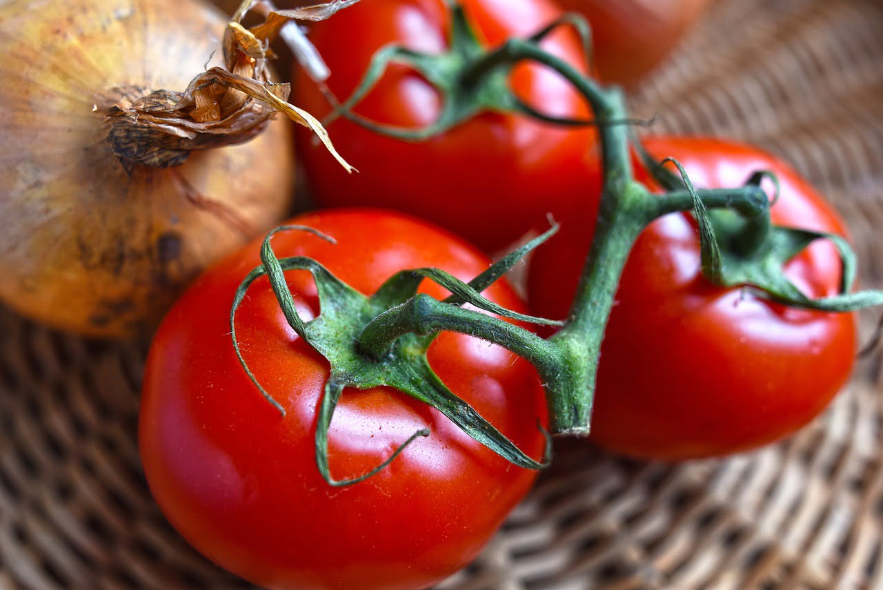 Can You SelfPollinate Tomatoes?