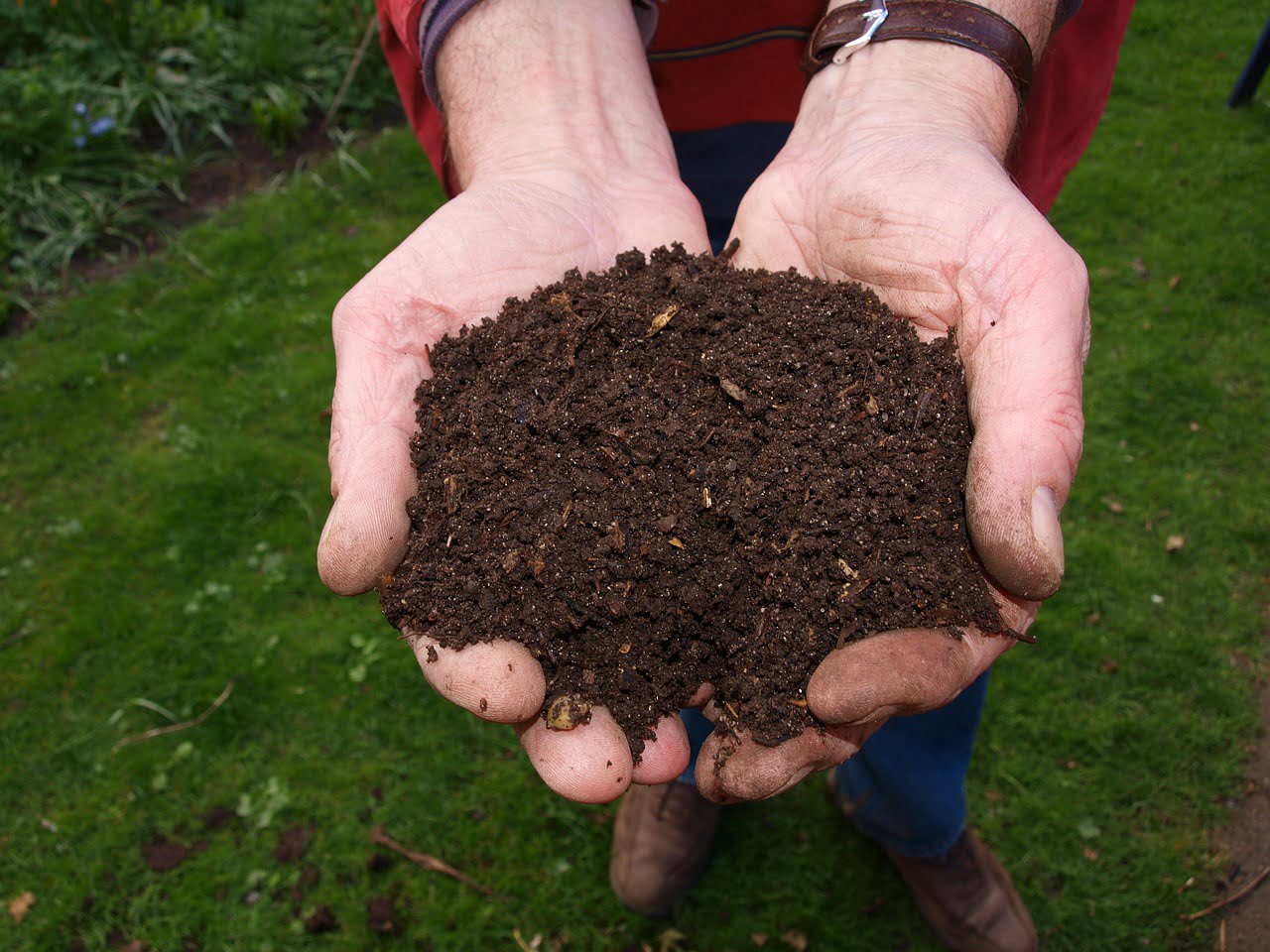 Composting Bones Tips And Tricks For Optimal