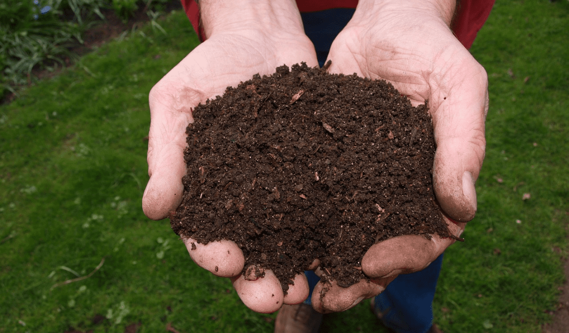 Composting Hot Tips & Fire Risks