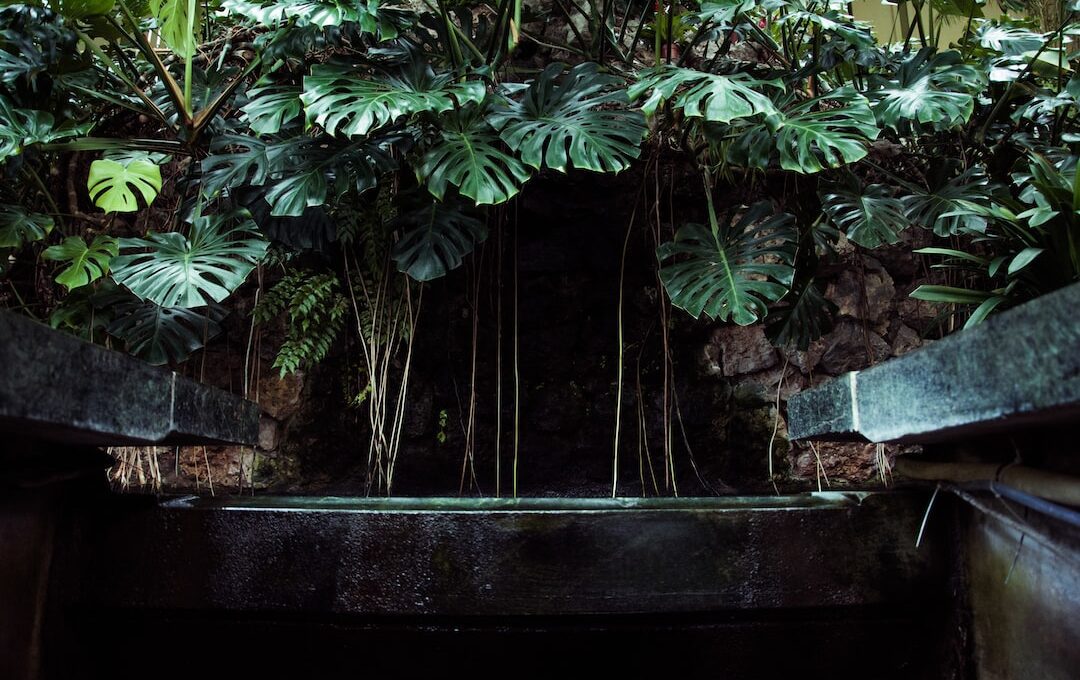 How Far To Drain Your Above Ground Pool For Winter