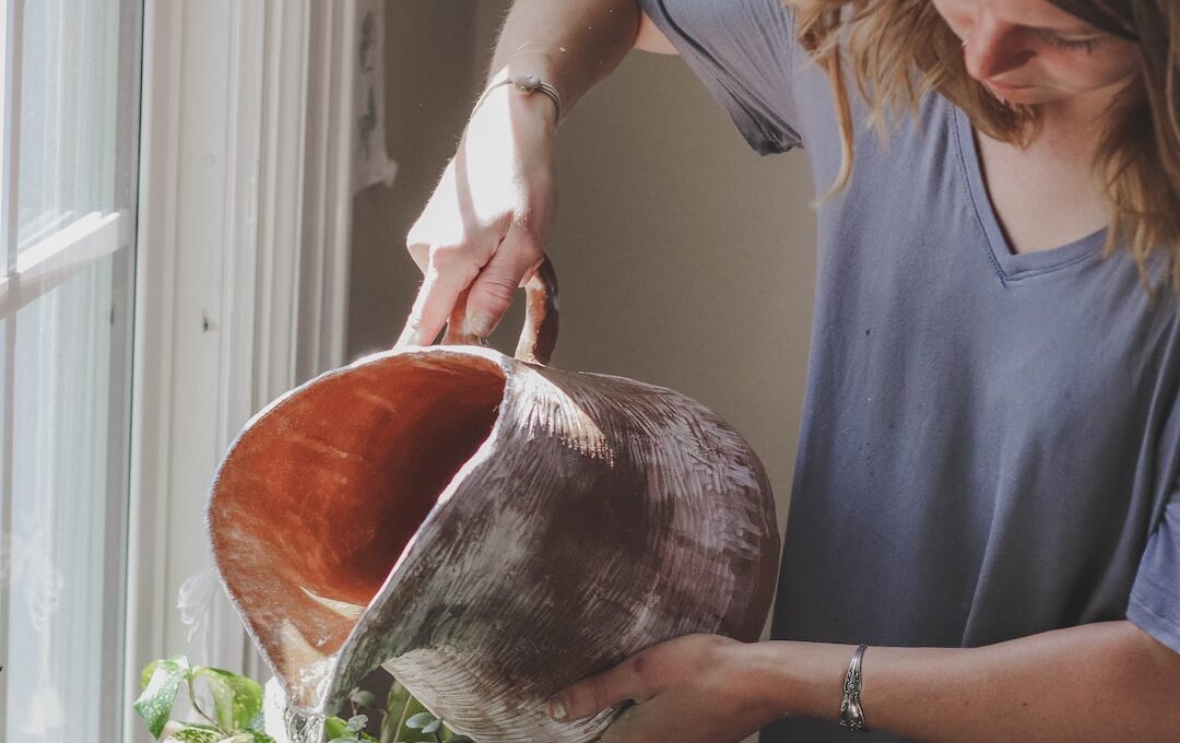 How Often Should You Water Cat Palm