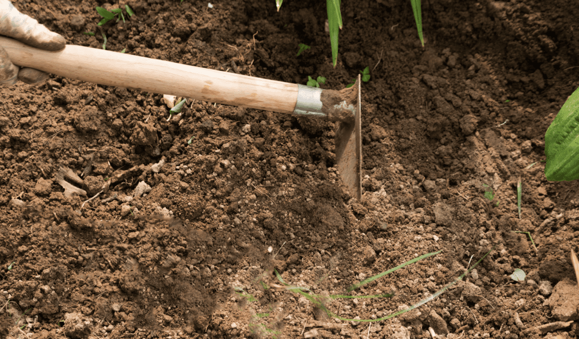 How To Remove Rocks From Soil