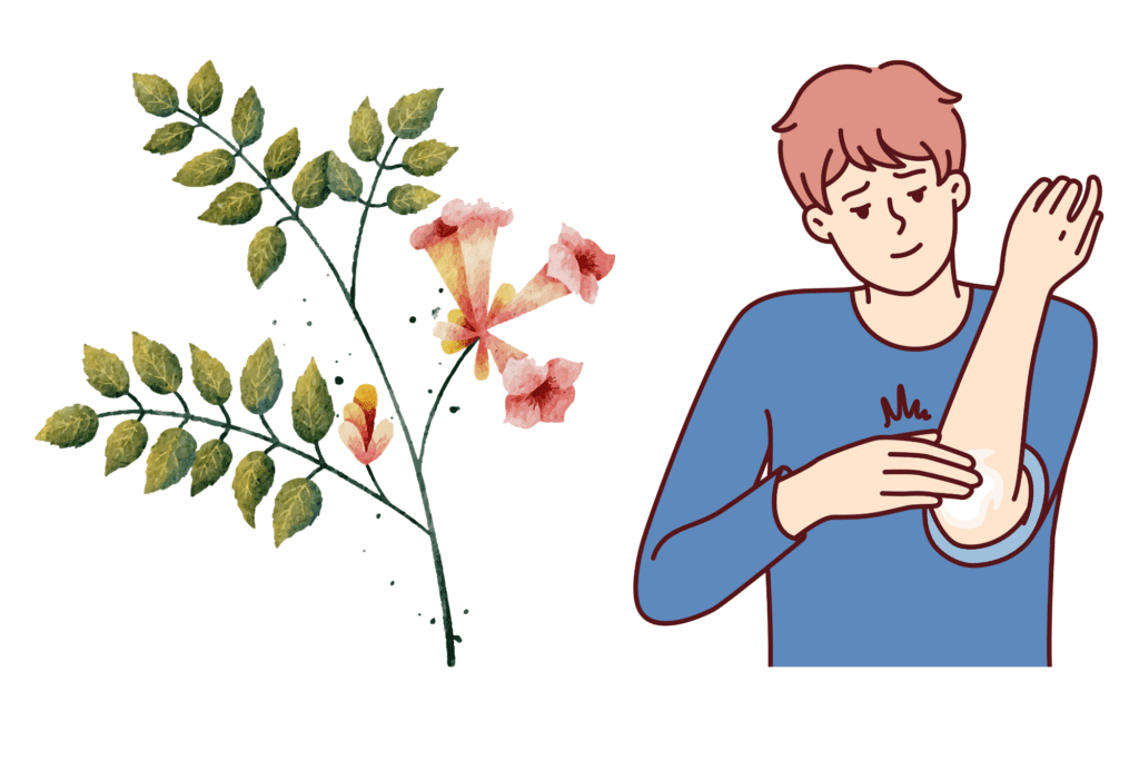 Does Trumpet Vine Cause A Rash? Learn the Facts & Tips!