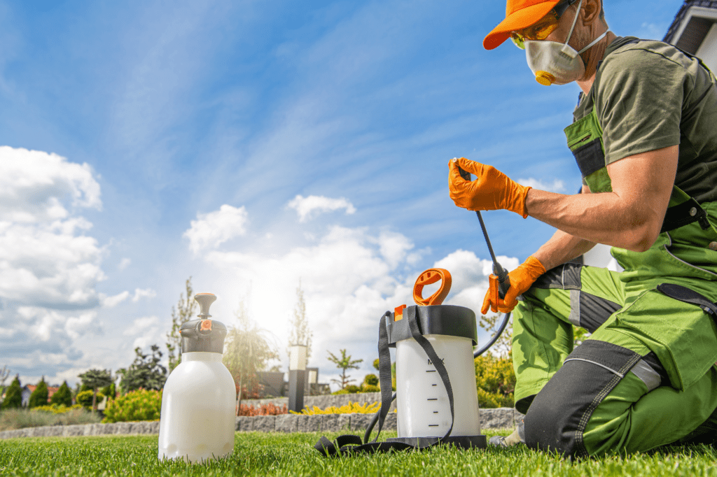 How To Get Rid Of Trumpet Vine Effective Tips & Tricks