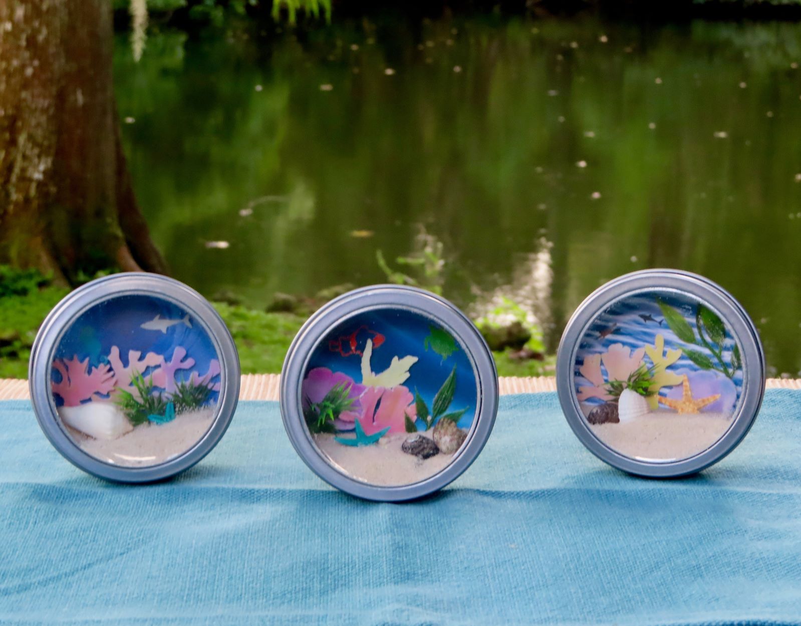 Great Barrier Reef DIY Kit