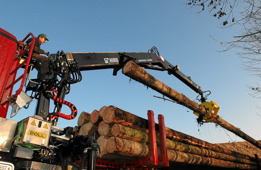 What You Should Consider When Choosing a Forestry Crane Everything Cranes
