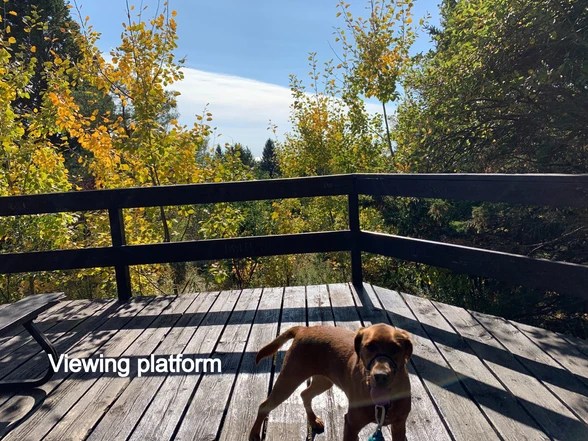 Darlington Provincial Park