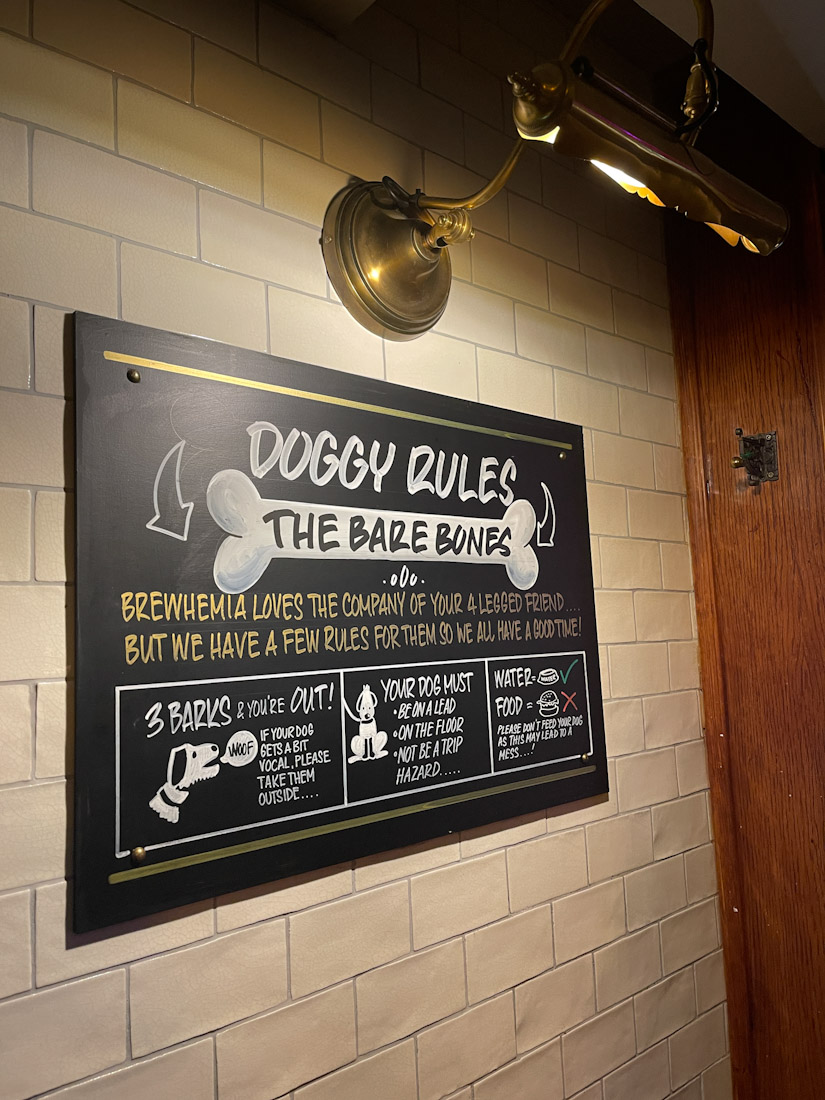 15 Purfect DogFriendly Edinburgh Activities