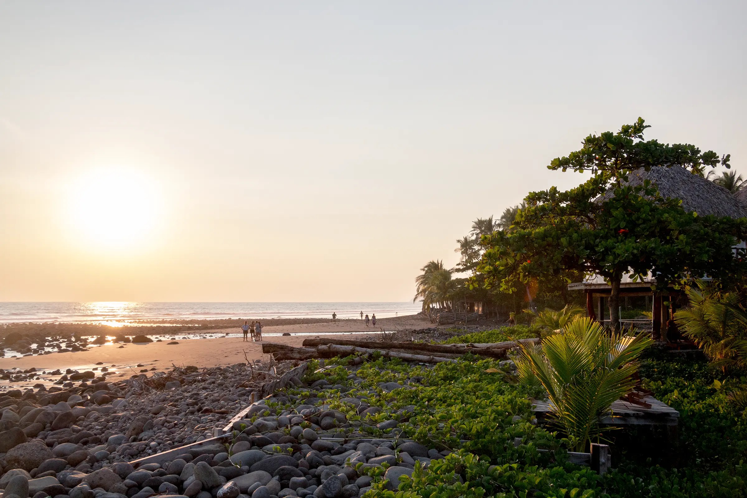 The Comprehensive Guide to El Zonte, El Salvador Everything El Salvador