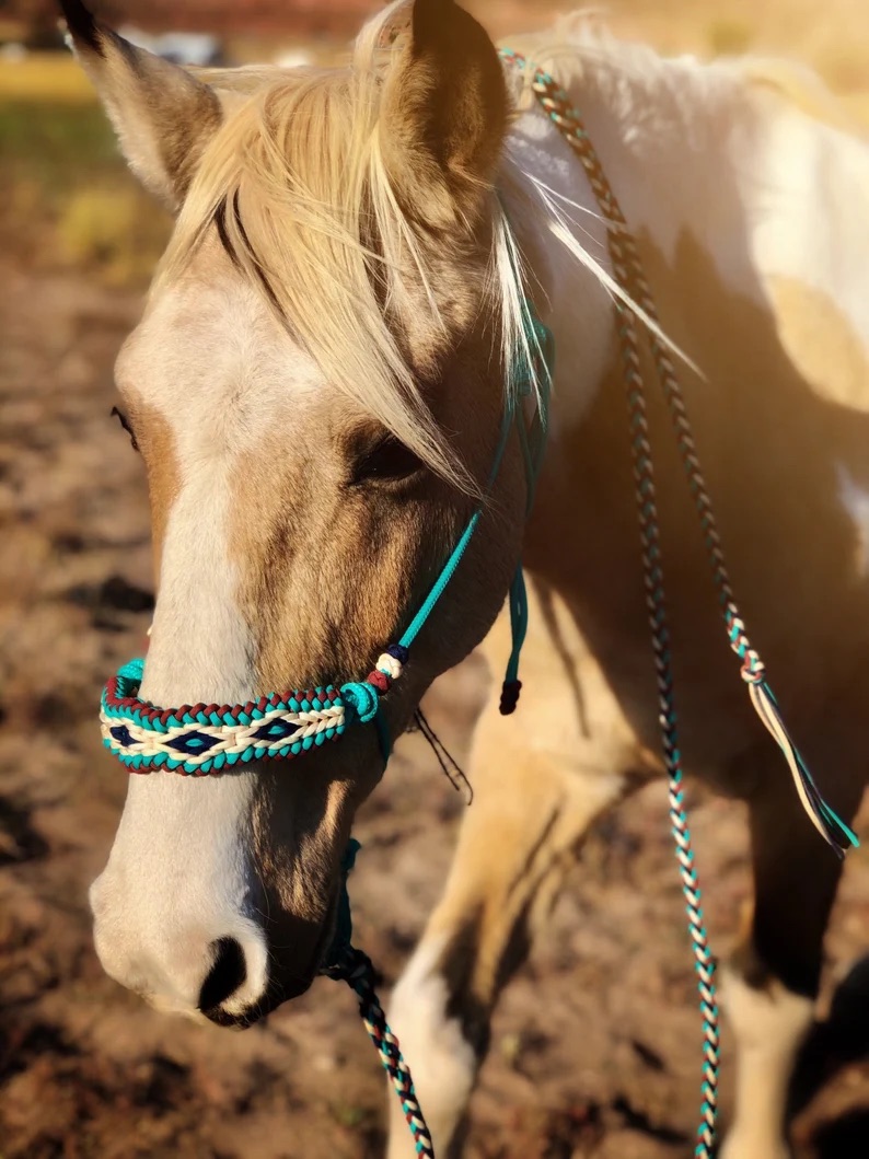 Soft Rope Halter&Matching LeadBig Diamond Braided Overlay Horse Training Halter EverythingEQ