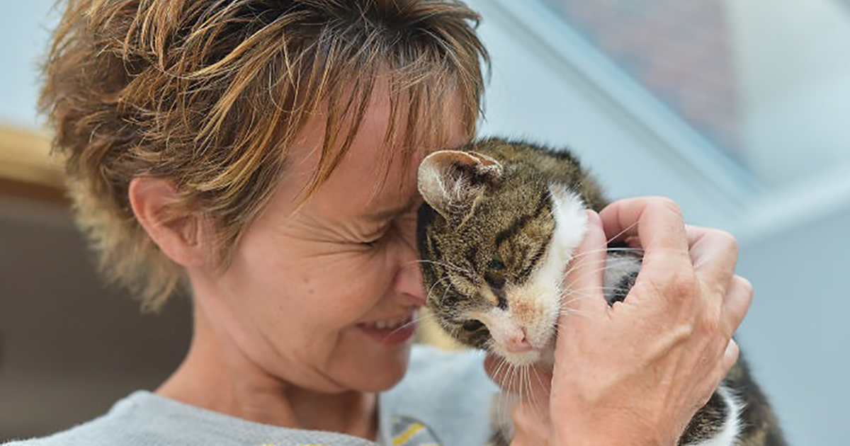"This Is A Miracle!" Cat Returns Home After Missing For 13 Years